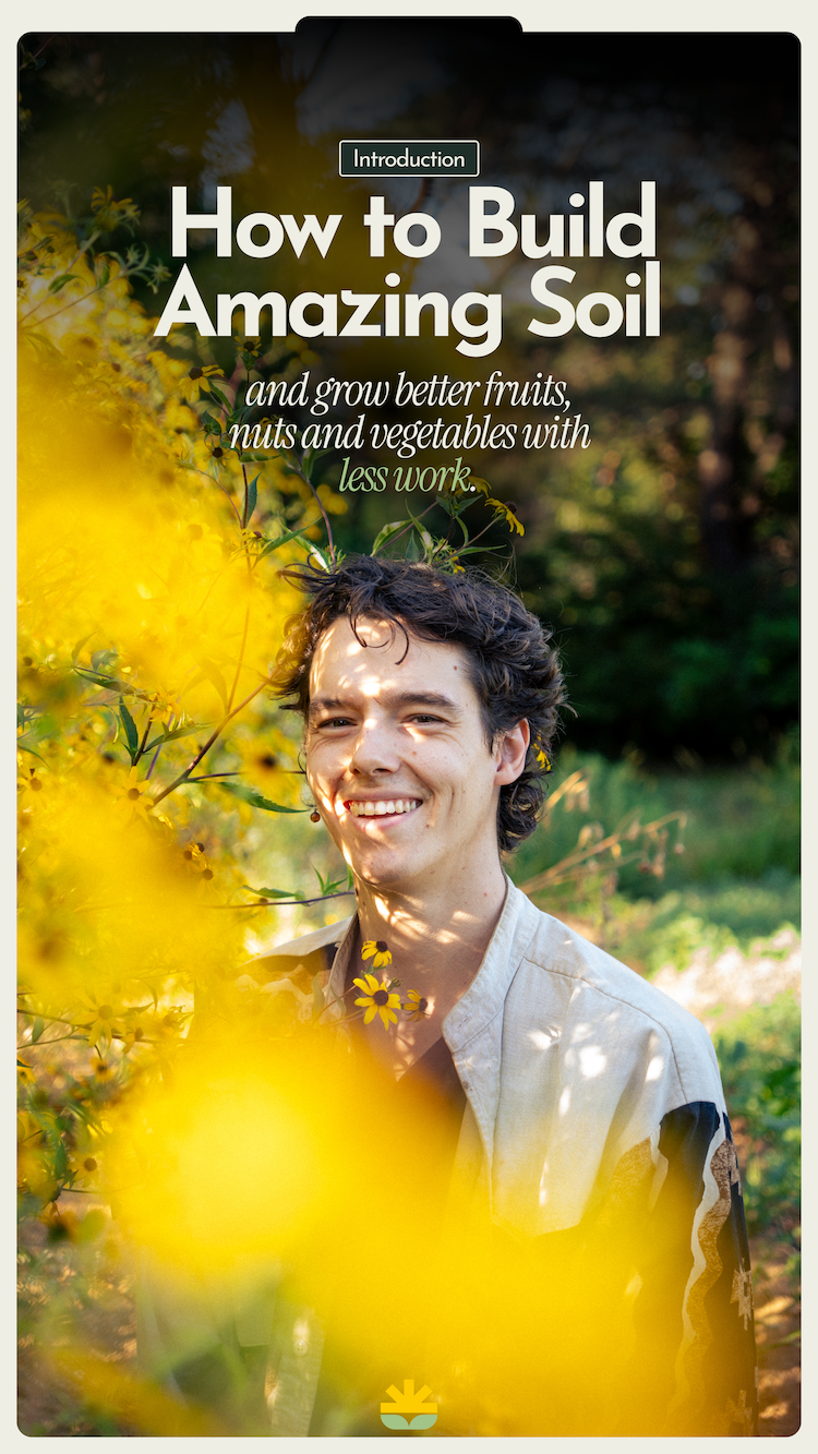 Mulch covering a garden bed