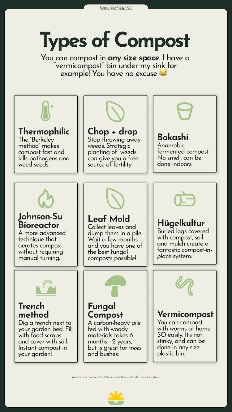 A thriving vegetable bed with rich living soil