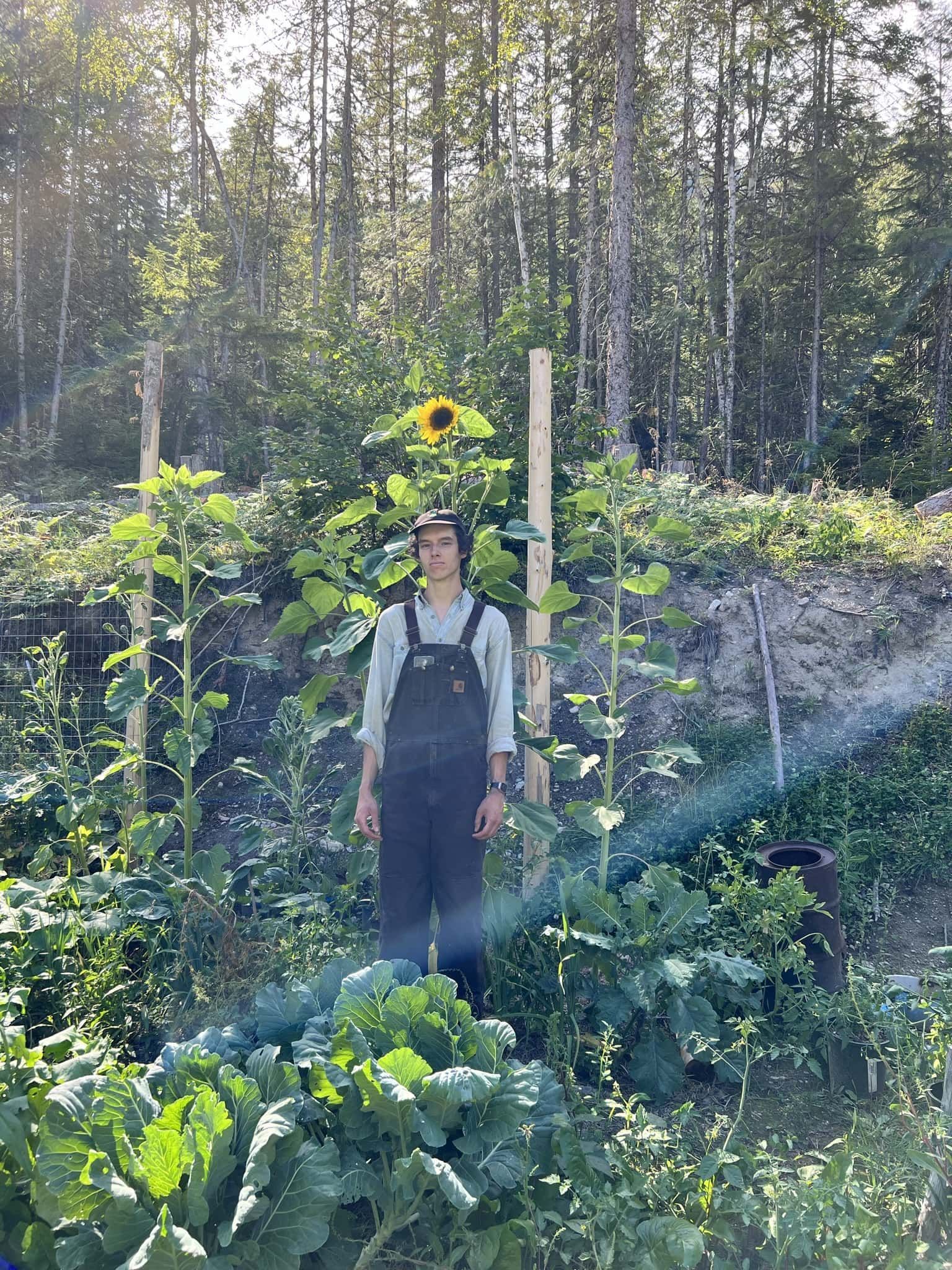 Seb in an early growing season