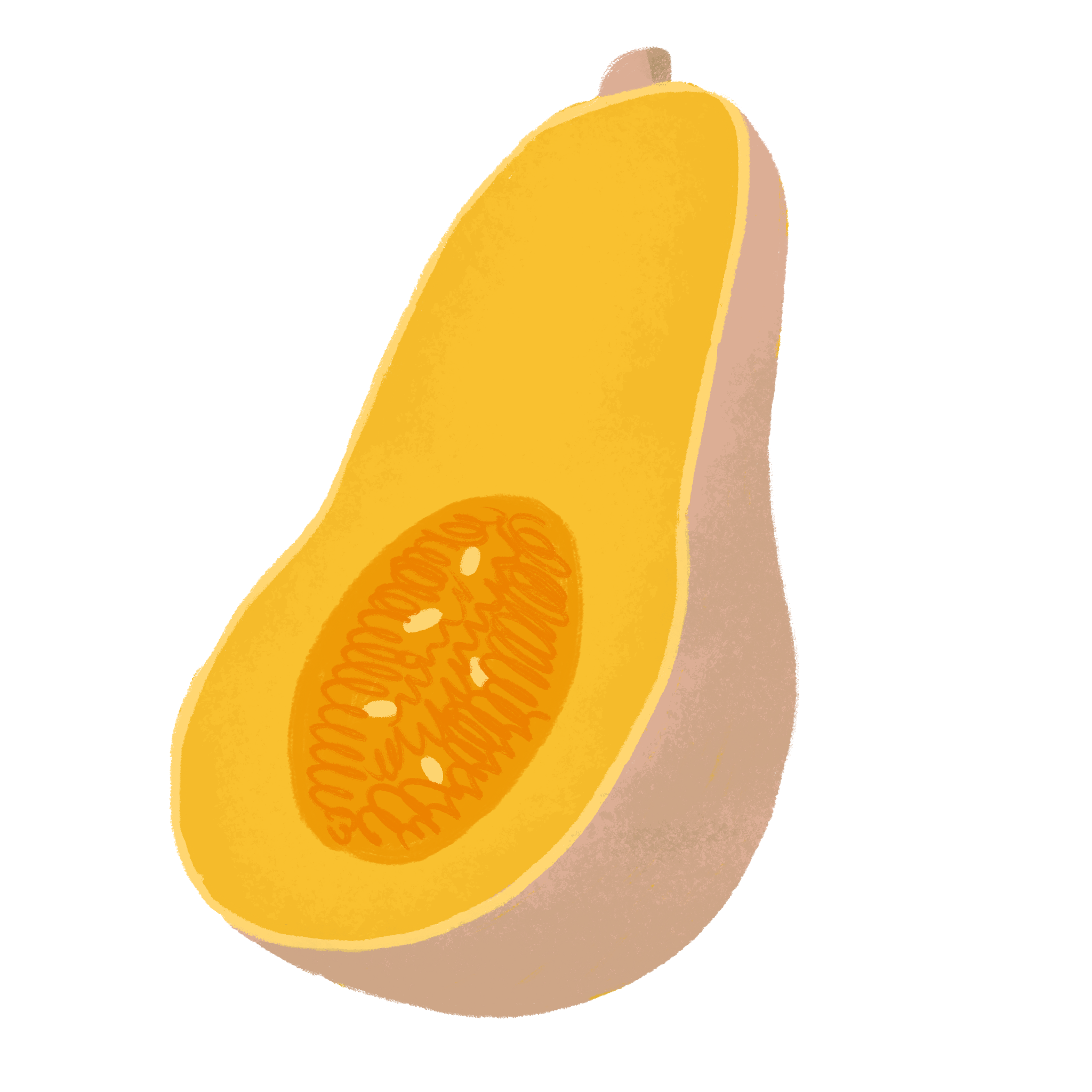 Cucurbits growing in a diverse garden system