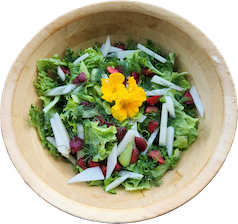 Fresh salad greens