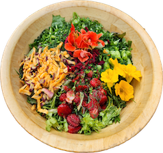 Fresh salad with leafy greens