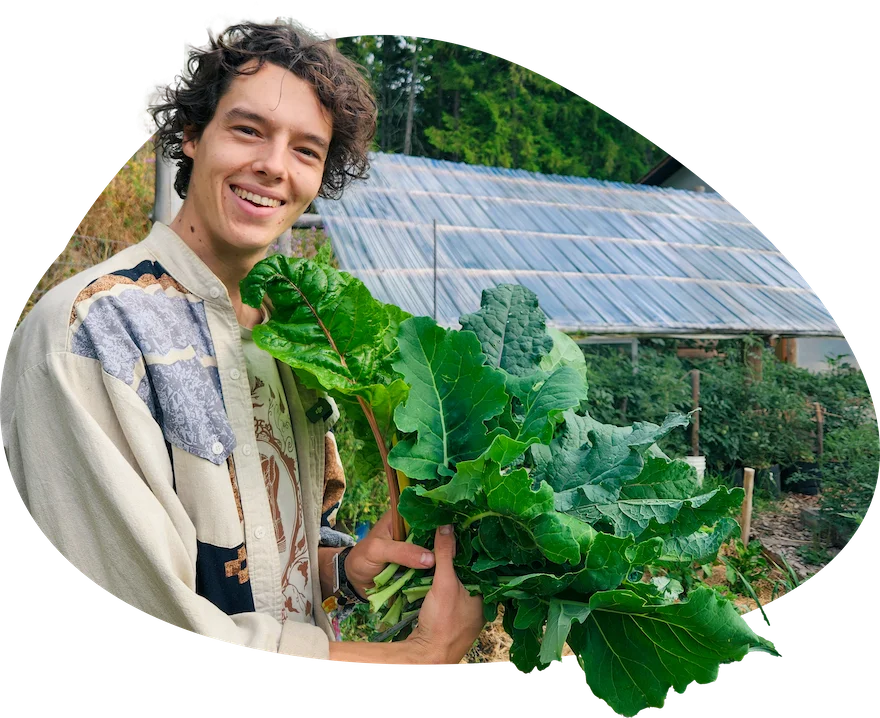 Seb Jagoe standing beside kale in a greenhouse